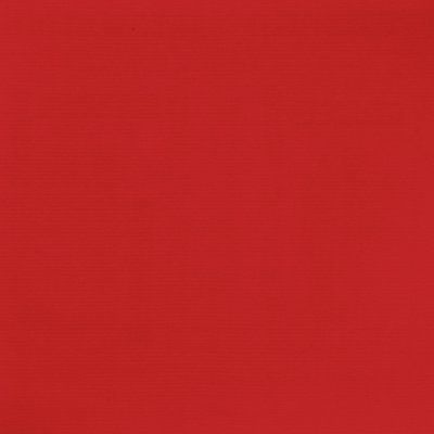 КОВРОЛИН ЭКСПОЗИЦИОННЫЙ Exporips